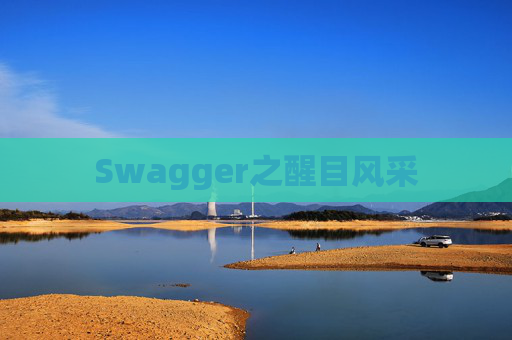 Swagger之醒目风采